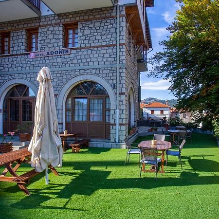 Hotel Adonis Metsovo Exterior foto